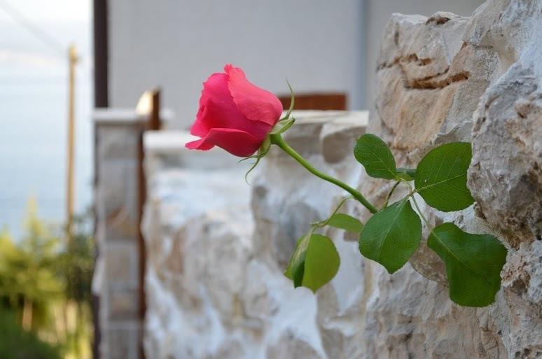 Holiday Villa In Omiš Rum bild