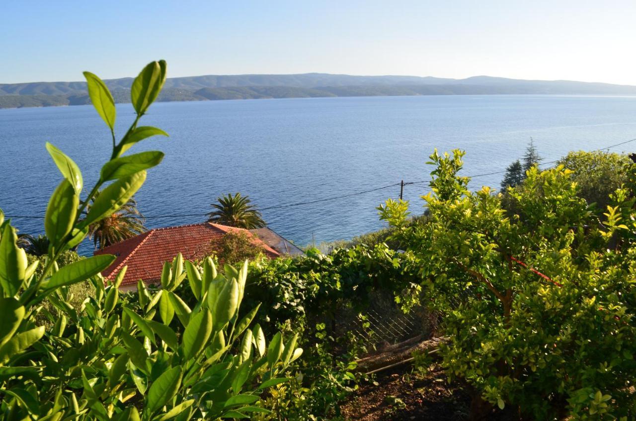 Holiday Villa In Omiš Exteriör bild